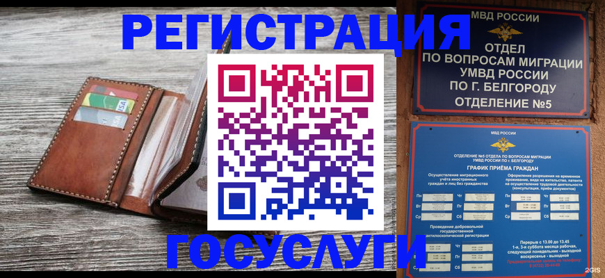 временная регистрация гарантия в Жуковском